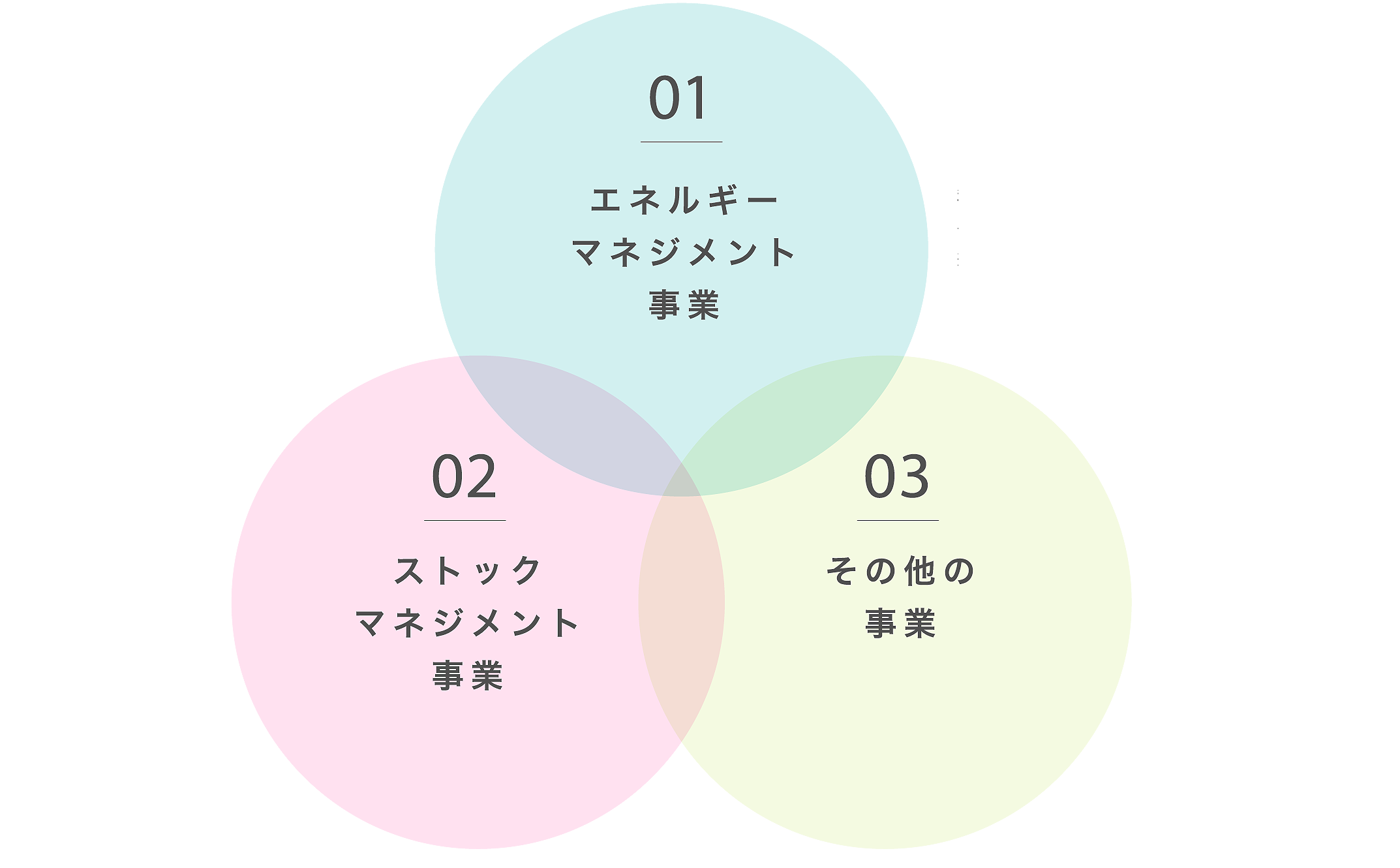 株式会社岳南ホールディングス（グループ関連企業管理）